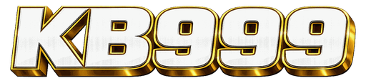bdkb999.com Logo